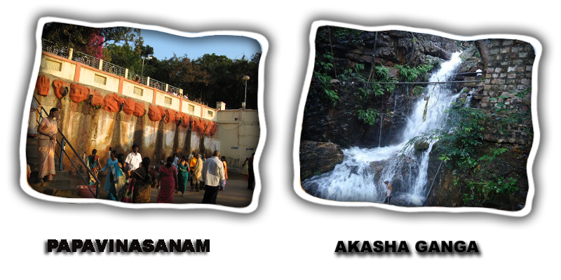 tirupati travel package