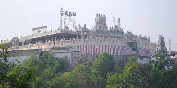 Tirupati local cabs